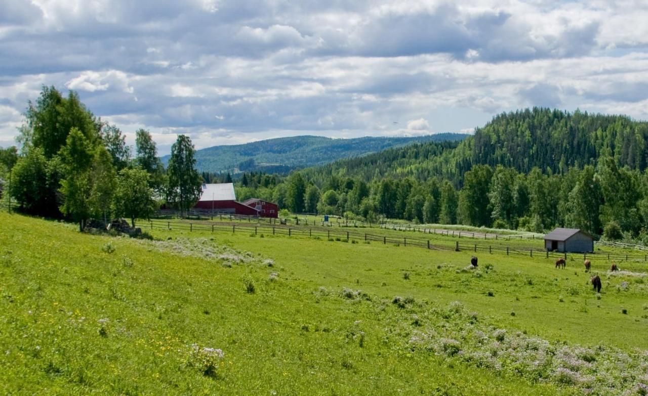 KolinkyläPaimentupa别墅 客房 照片